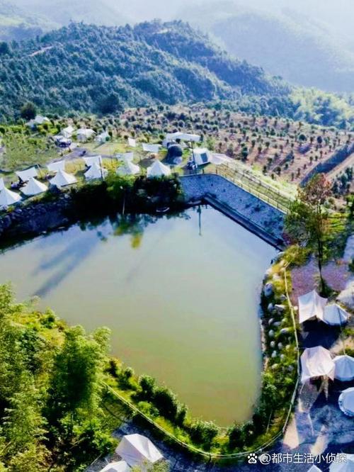 如何安全下载真三国无双绅士版?避坑指南分享