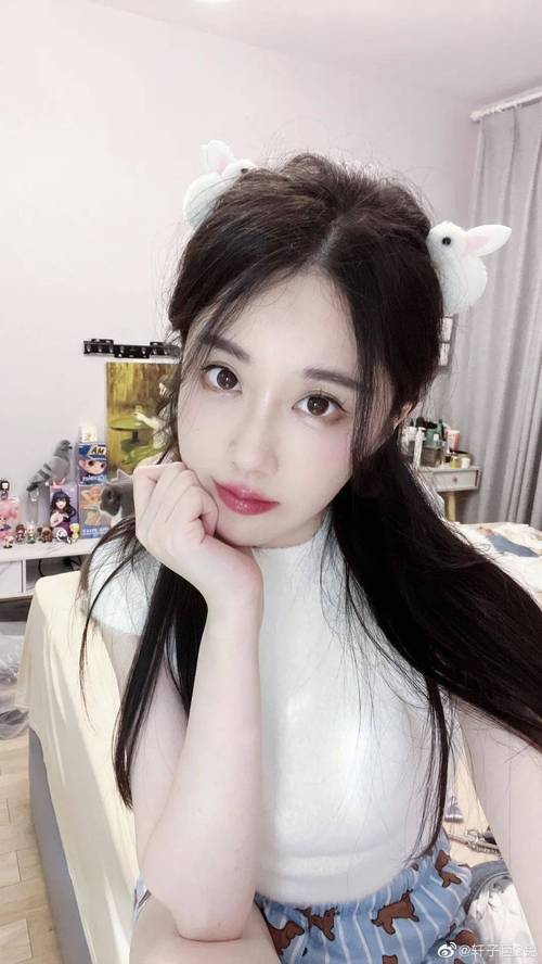 轩子巨二兔安卓汉化版在哪下载?这里有你想要的!