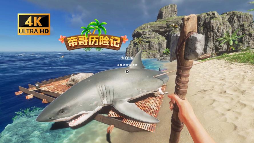 最新孤岛求生游戏攻略：挑战与生存完美结合