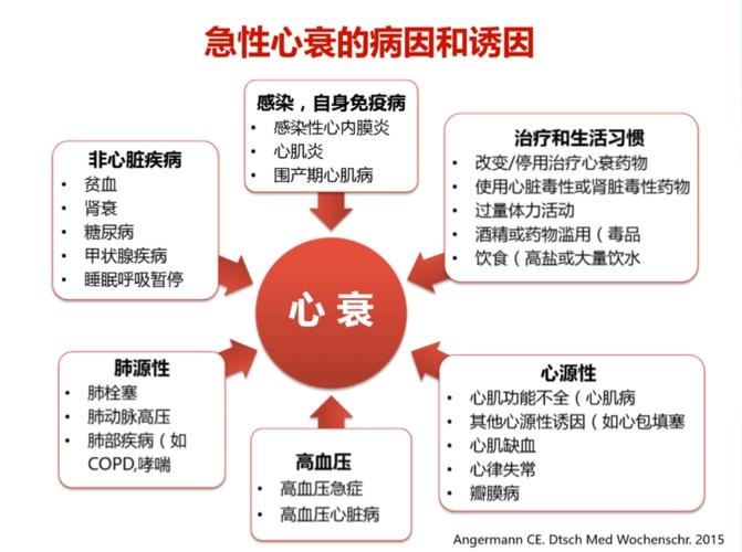 心脏问题大揭秘：从症状到诊断，一次性搞懂