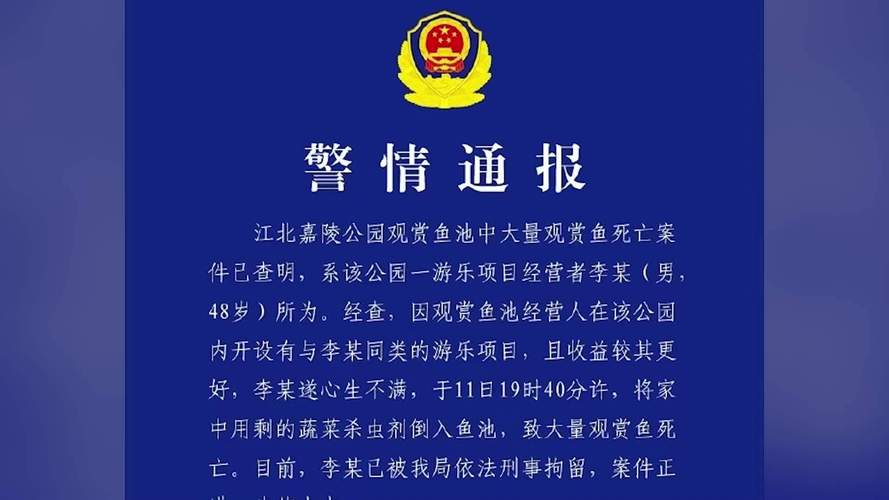 渔网亡灵最新报道：湖中意外事故频发，安全防范刻不容缓