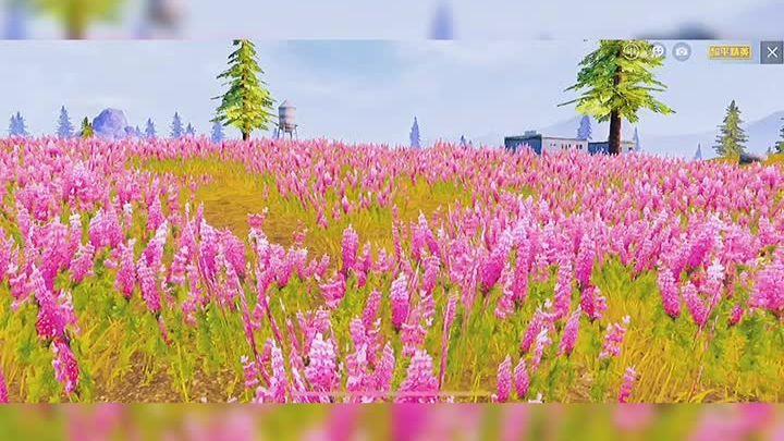 精英花园所有版本下载地址及攻略分享