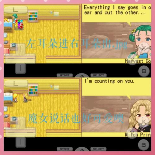 精灵性爱农场游戏攻略:通关秘籍与隐藏要素揭秘