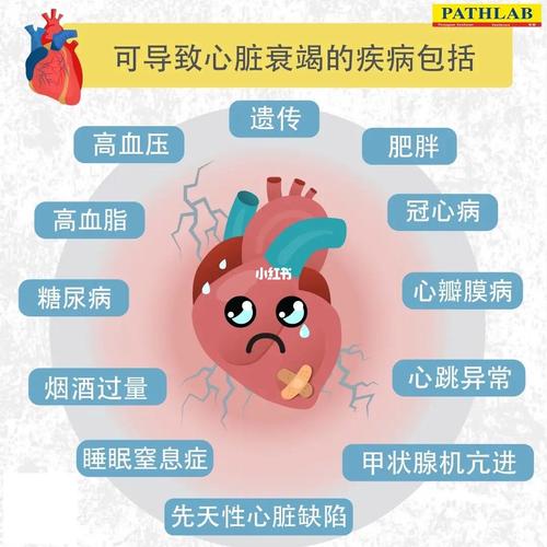 心脏问题最新研究：了解常见症状，远离心脏疾病风险