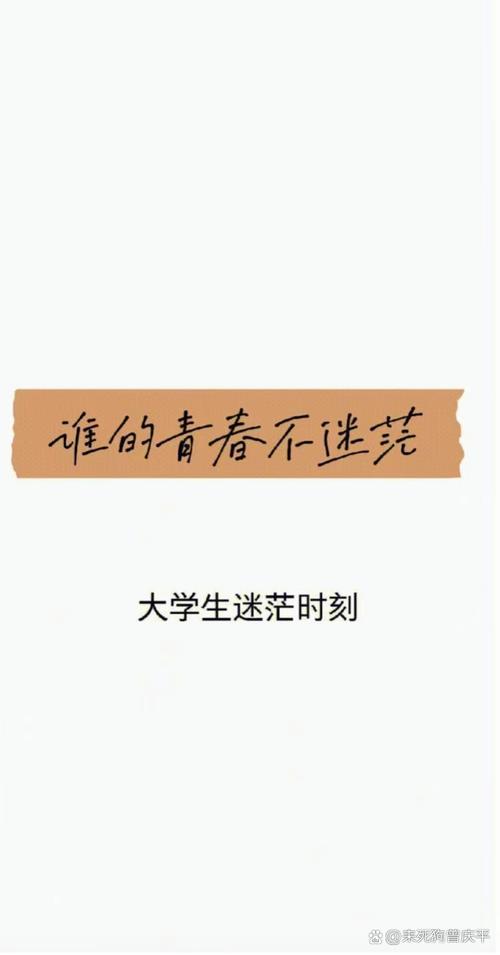 我的大学生活最新分享：青春的迷茫与成长