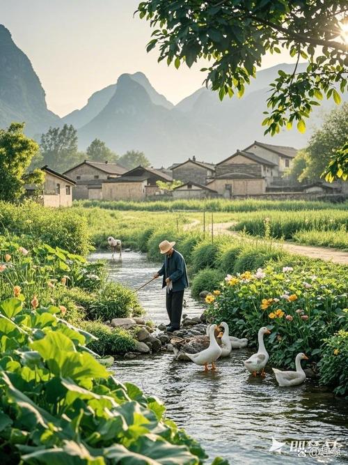 最新我的乡村生活：感受宁静祥和的乡村氛围