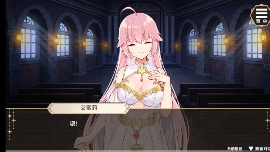 圣妓女艾蜜莉游戏攻略:新手入门必看指南