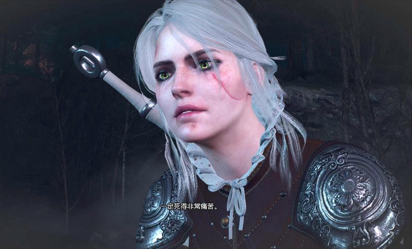 巫师3狂猎魔改版更新地址:超多惊喜等你发现!