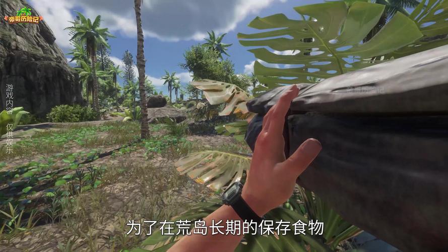 最新孤岛求生游戏攻略：挑战与生存完美结合