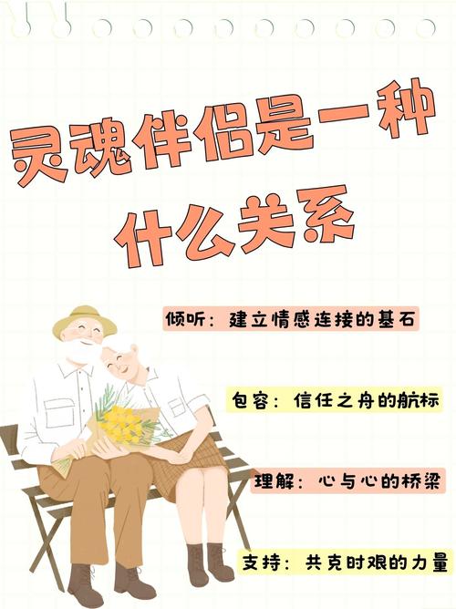 灵魂伴侣最新版本是多少？不同版本功能对比详解