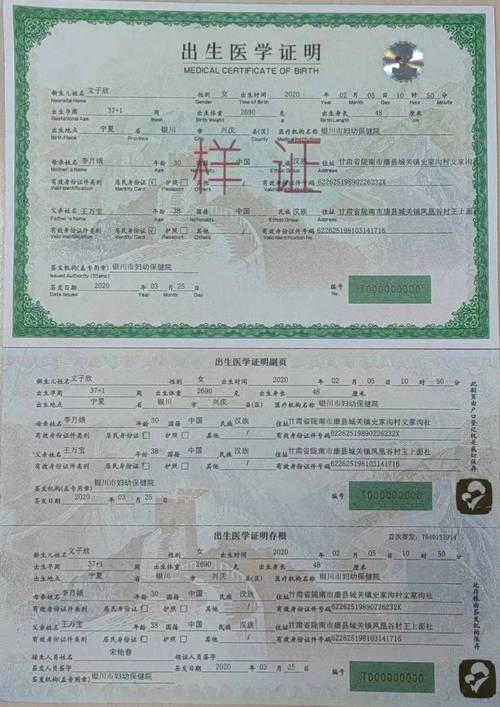 如何在出生证明官方网站上查询我的宝宝出生证明？