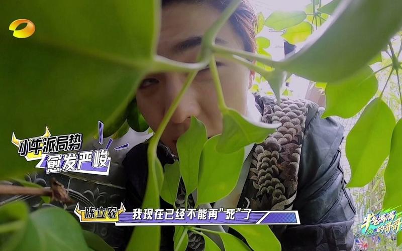 最全无法忍耐的哥哥下载地址：高速下载，免除等待烦恼