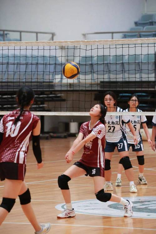 生命竞赛最新战况：全国大学生赛道精彩纷呈