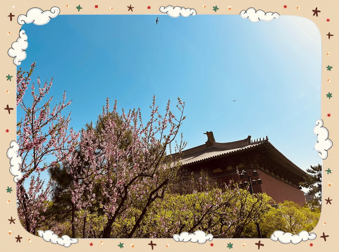 最新云中古城更新地址一览，玩游戏就看这里