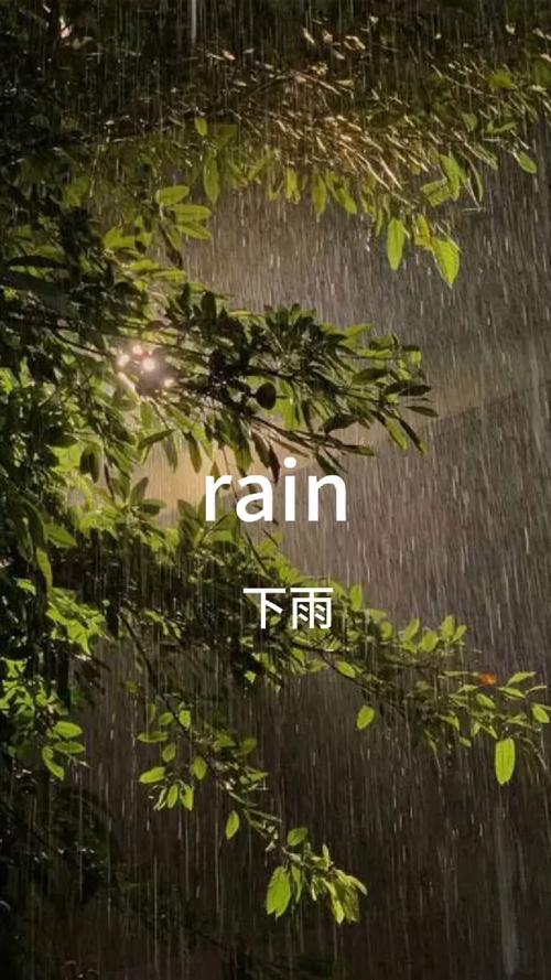Rainnight雨官方正式版下载最新版：超放松ASMR体验分享