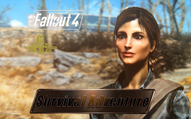 后宫佳丽汉化版下载大全:免费安全下载