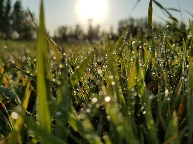 寻找逝去的夏天安卓资源,重温夏日感动瞬间