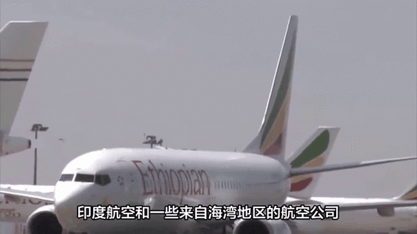 最新航空公司动态：国际航线及领空开放情况