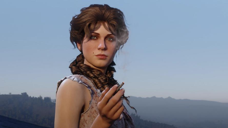 荒野大嫖客MOD使用指南：新手玩家必备MOD推荐