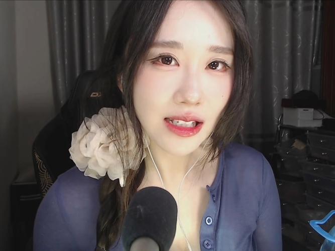 寻找轩子巨二兔官网？粉丝必备导航入口！