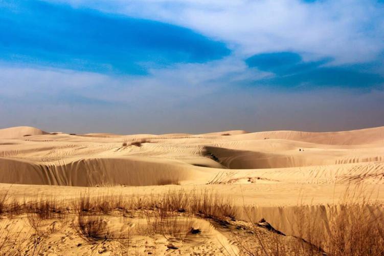 沙漠潜行者下载：超燃SLG手游，等你来征服沙漠