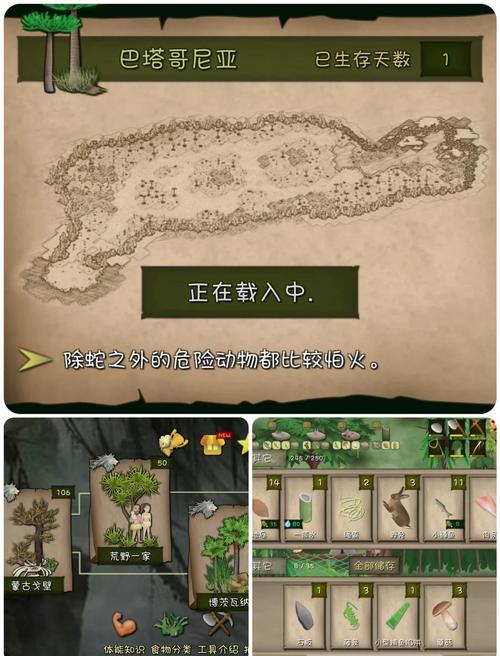 最新孤岛求生游戏攻略：挑战与生存完美结合