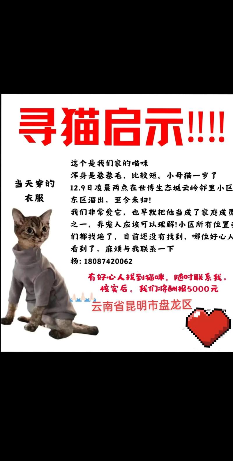 寻找疯猫版本大全？这里有你想要的！