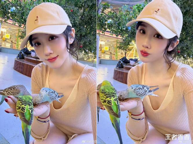 寻找轩子巨二兔官网？粉丝必备导航入口！