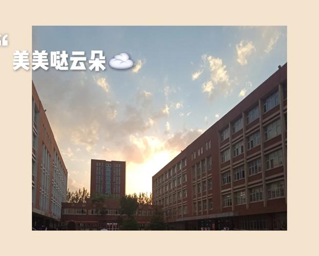 想玩我的大学生活S1-S2？教你轻松下载！