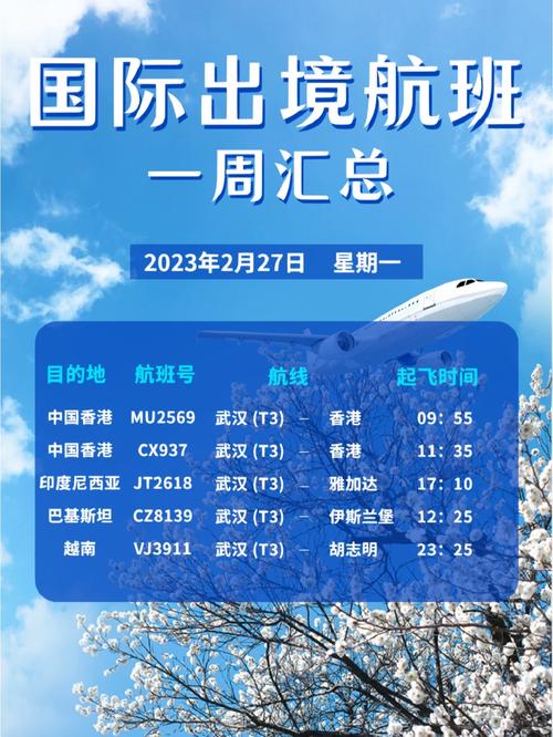 想了解所有航空公司版本?这里有完整大全!