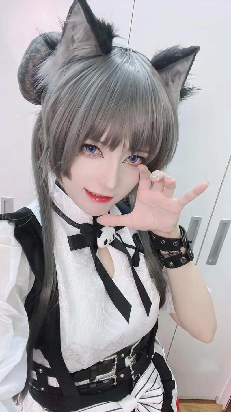 如何下载coser2?分享我的下载安装经验