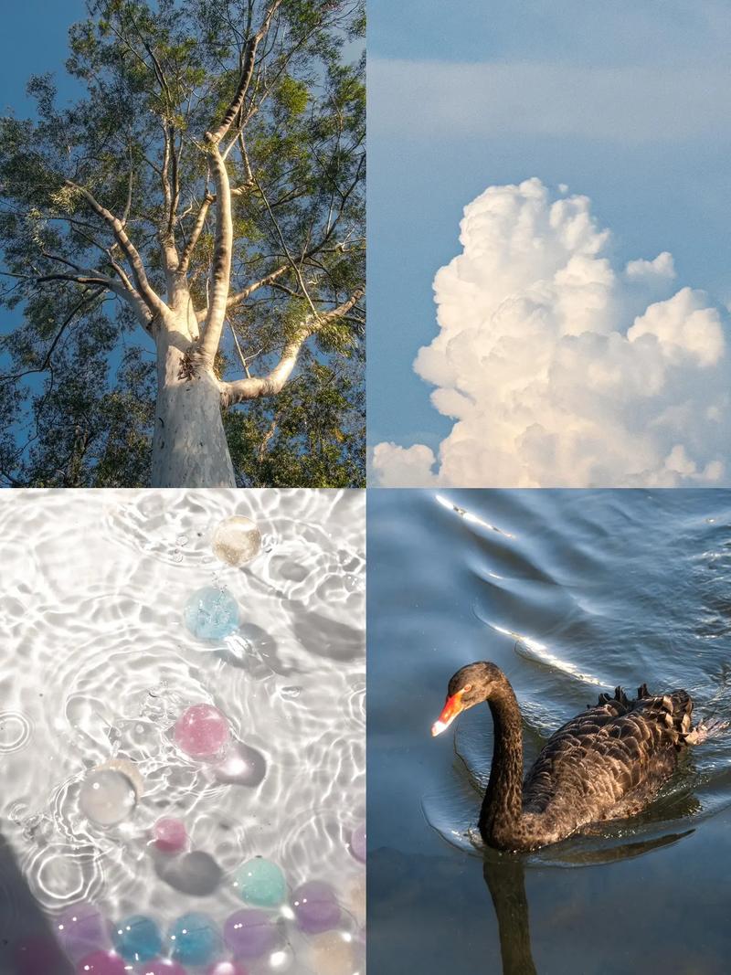 最新夏日甜蜜回忆:我的快乐夏天,你的呢?