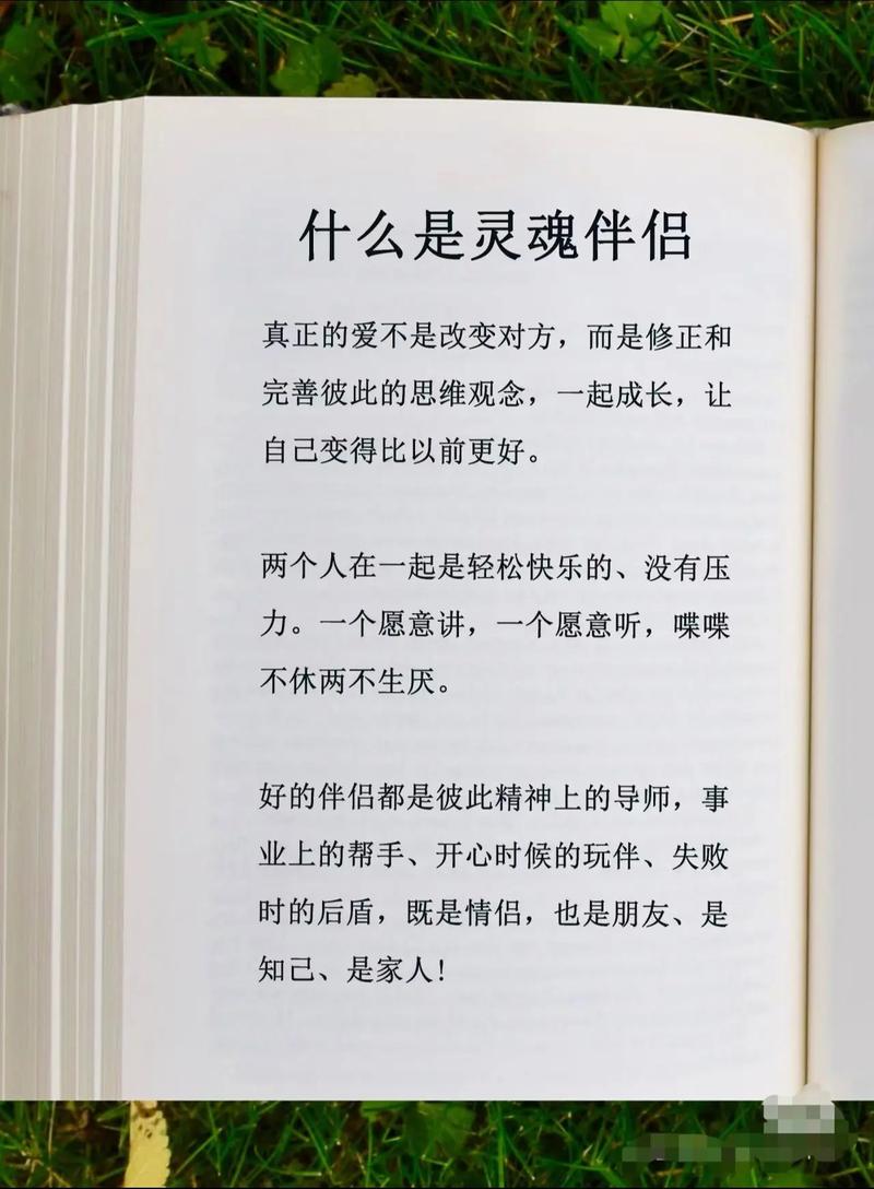 灵魂伴侣最新版本是多少？不同版本功能对比详解
