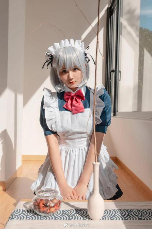 coser1更新地址及使用方法详解,新手也能快速上手