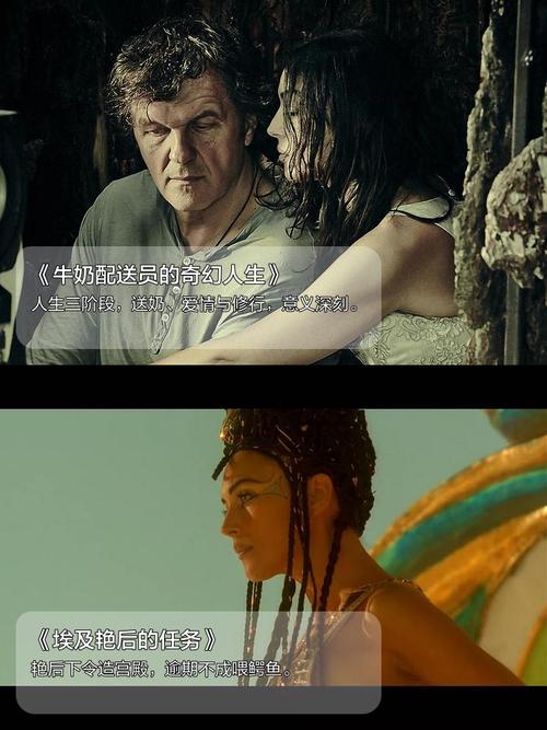 时尚女王莫妮卡第二季完结下载：资源推荐及安全提示