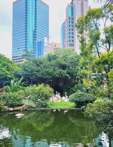 如何安全下载真三国无双绅士版?避坑指南分享