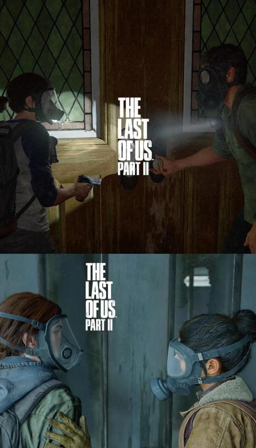 最后的生还者2游戏介绍：全面解读游戏玩法，揭秘游戏背后的故事