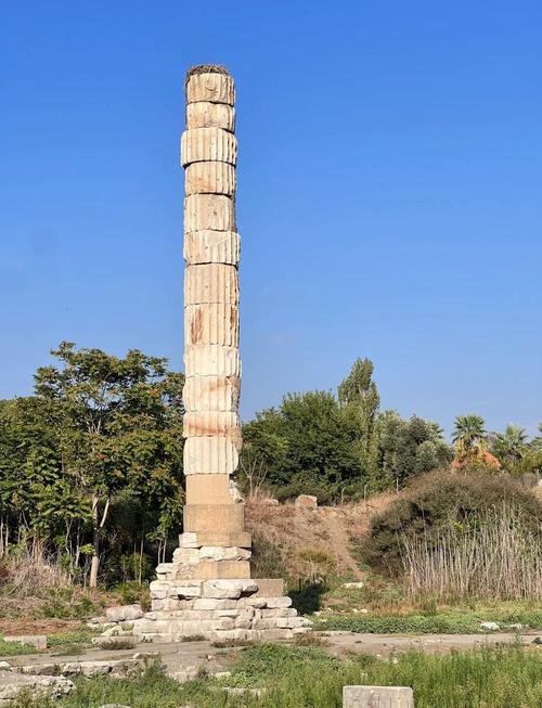 阿尔忒弥斯帕鲁版本大全:各个版本资源下载及对比