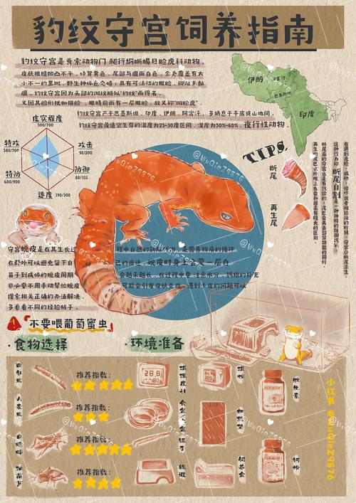 海豹社30部游戏合集攻略:轻松通关技巧分享