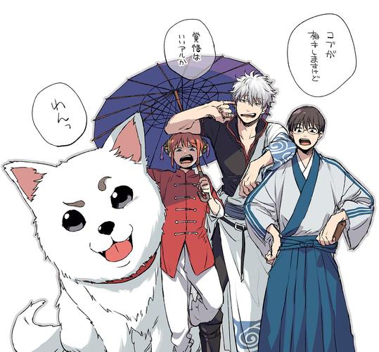 万事屋更新地址在哪？高清完整版免费观看！