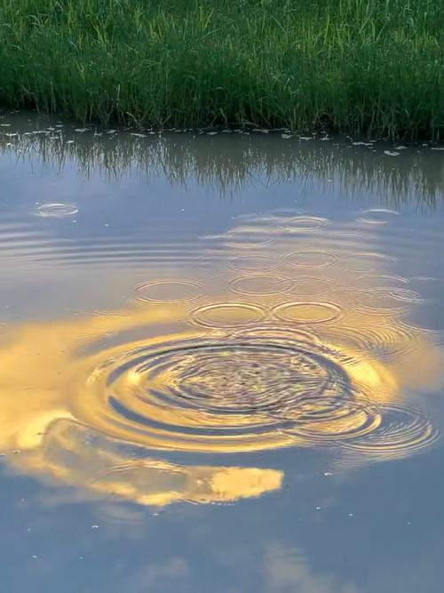 涟漪最新版本有哪些变化？深度解析来了