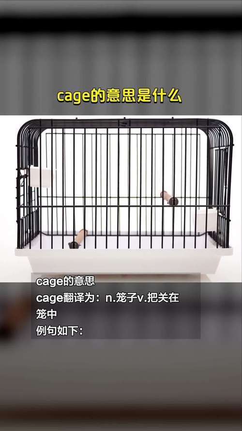 CageofTentacles下载安卓常见错误处理?(3步修复指南超轻松!)