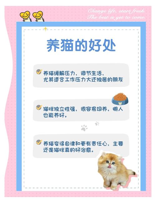 养猫更轻松:猫研社官方正式版最新版下载,科学养猫!