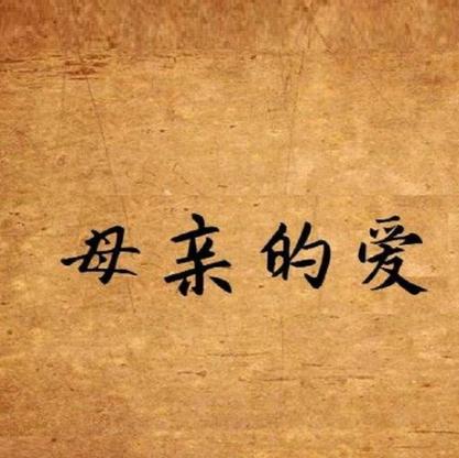母亲的爱如何下载更便捷？三个实用方法一键获取
