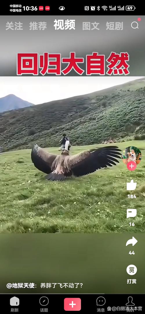 大雕征服世界最新值不值得玩？优缺点分析帮你决定！