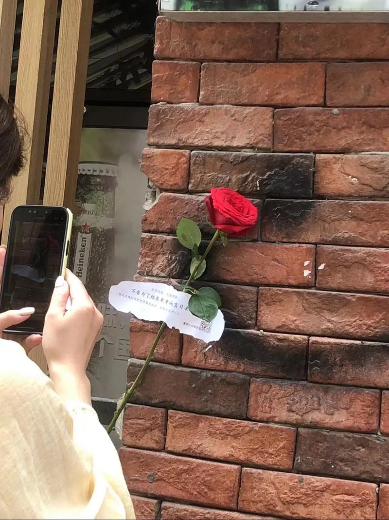 玫瑰行动官网都有些啥？独家资讯和报名通道都在这！