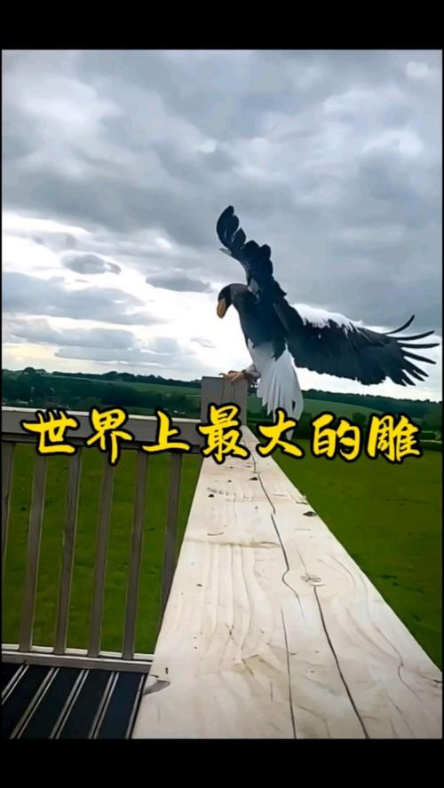 大雕征服世界最新值不值得玩？优缺点分析帮你决定！