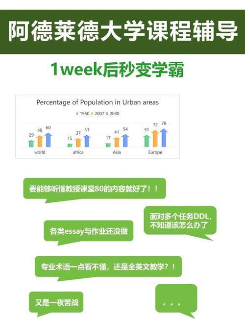 如何高效精通阿德莱德旅馆绅士游戏？老玩家技巧分享！