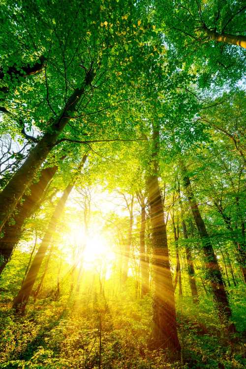 下载阳光下的真实官方正式版下载最新版常见问题？解决技巧分享！