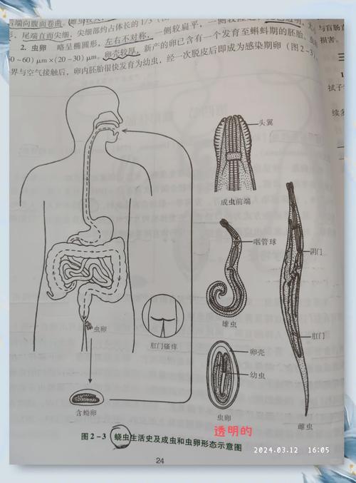 内部寄生虫更新地址怎么找(掌握这5个方法快速搞定)